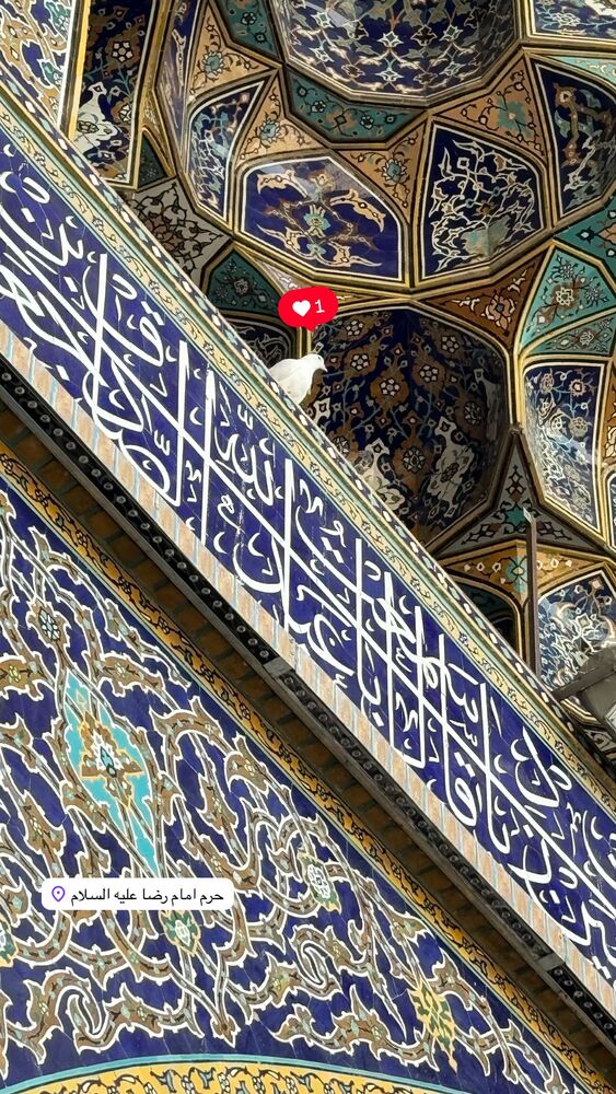  جدید ترین استوری اینستاگرام فاطمه افشاریان