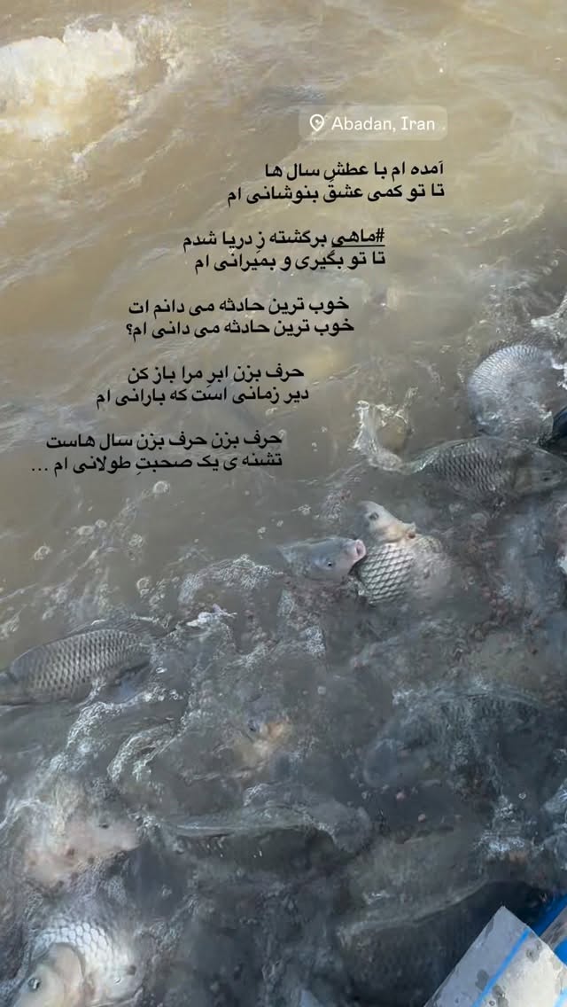  جدید ترین استوری اینستاگرام فاطمه افشاریان