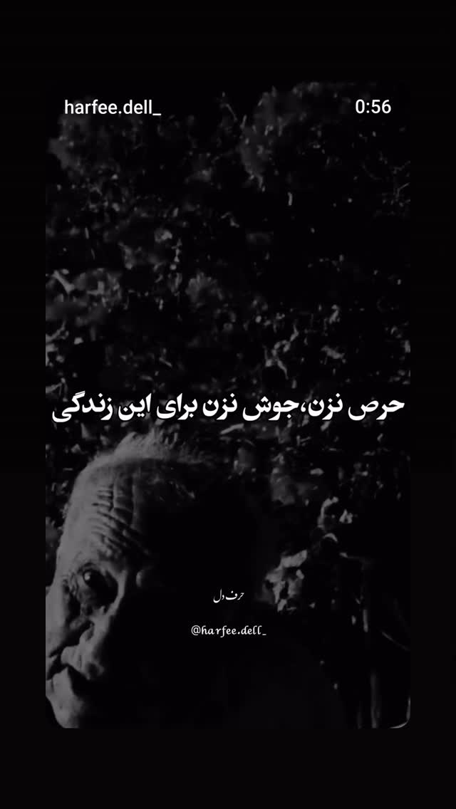  جدید ترین استوری اینستاگرام فاطمه اميني