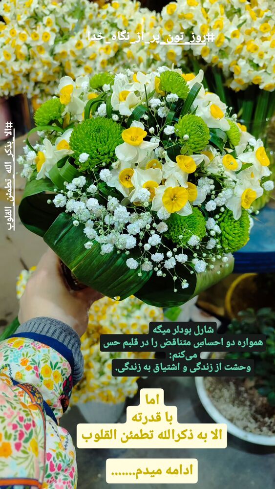  جدید ترین استوری اینستاگرام فاطمه اميني