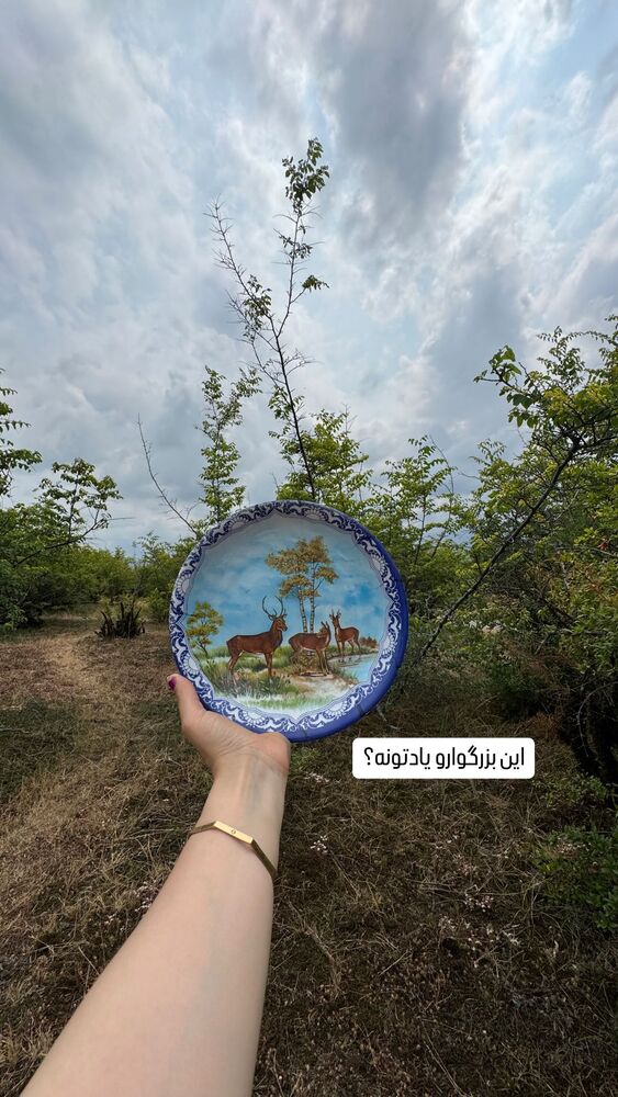  جدید ترین استوری اینستاگرام فاطمه محمدی قره چناق