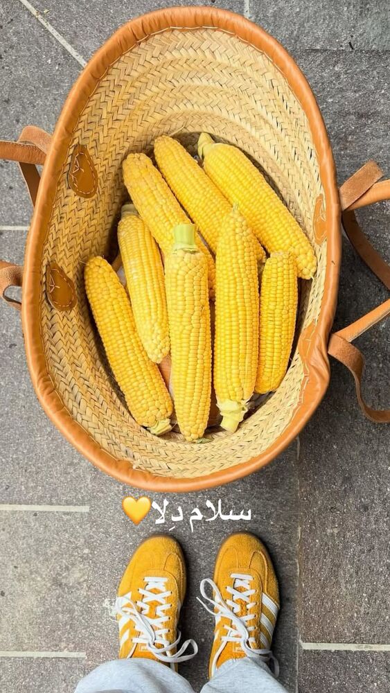  جدید ترین استوری اینستاگرام فاطمه محمدی قره چناق