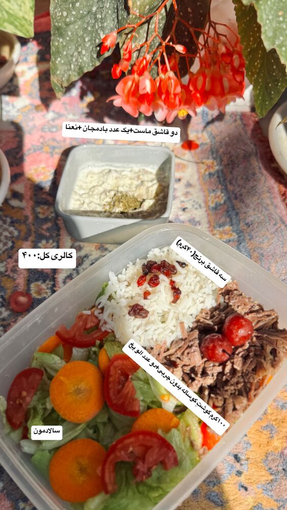  جدید ترین استوری اینستاگرام فاطمه محمدی قره چناق
