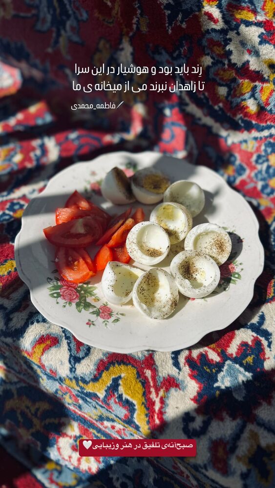  جدید ترین استوری اینستاگرام فاطمه محمدی قره چناق