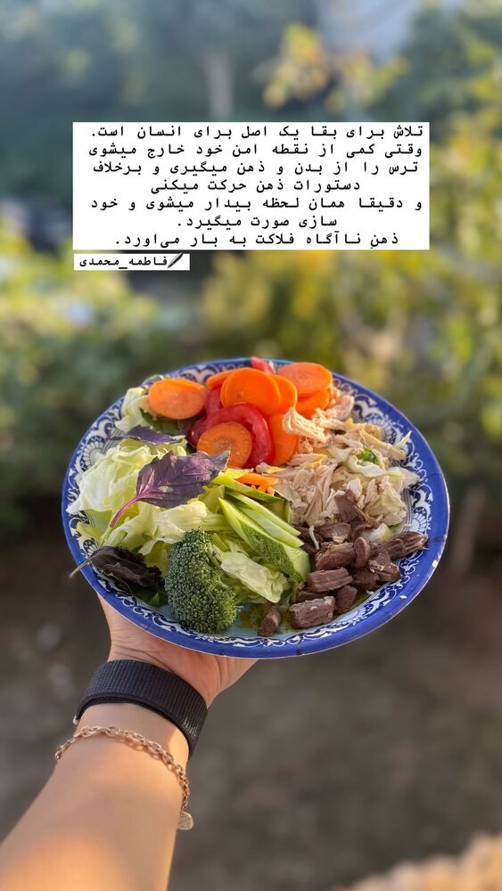  جدید ترین استوری اینستاگرام فاطمه محمدی قره چناق