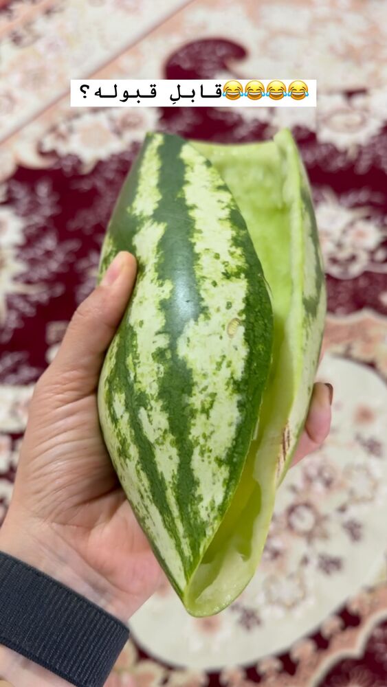  جدید ترین استوری اینستاگرام فاطمه محمدی قره چناق