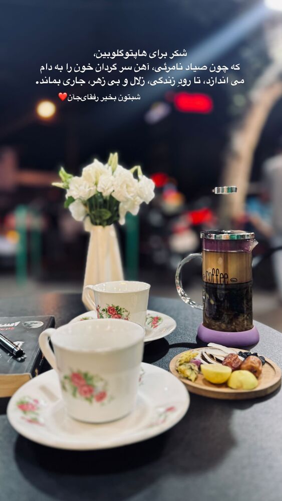  جدید ترین استوری اینستاگرام فاطمه محمدی قره چناق