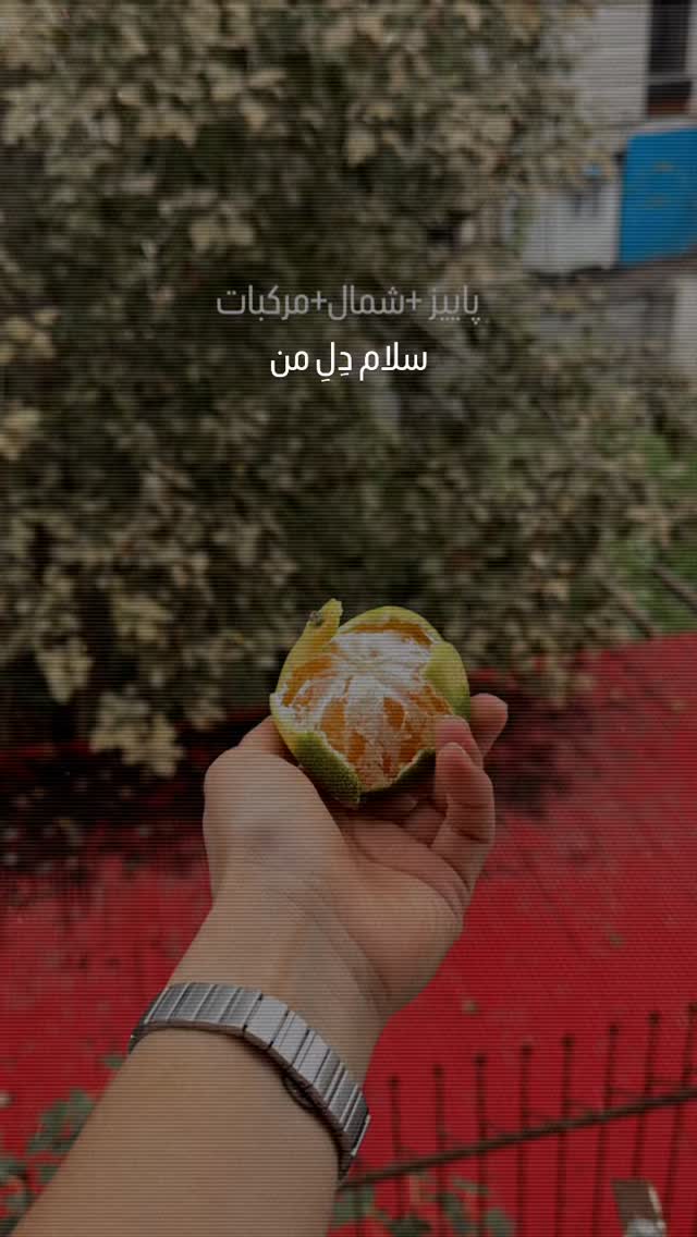 جدید ترین استوری اینستاگرام فاطمه محمدی قره چناق