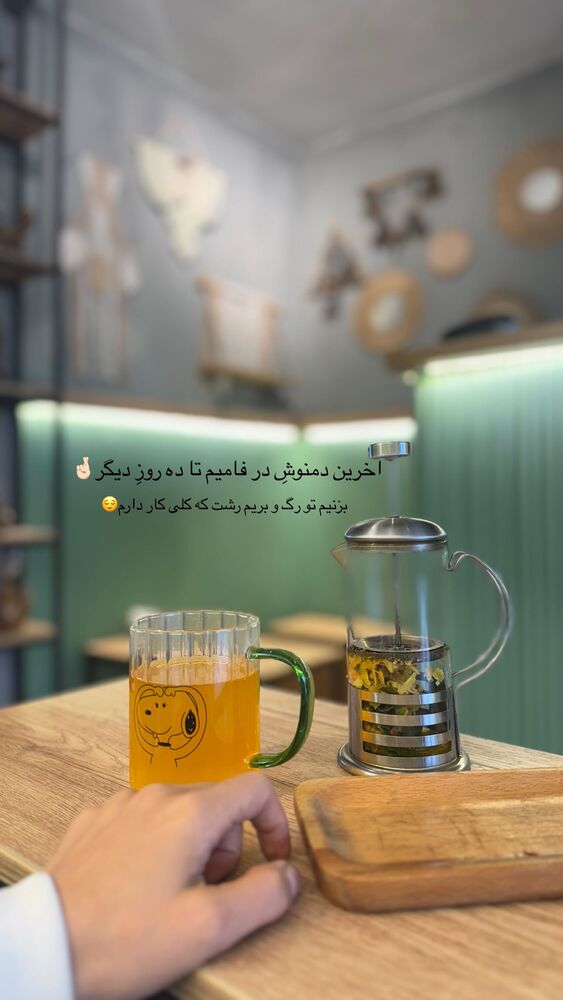  جدید ترین استوری اینستاگرام فاطمه محمدی قره چناق