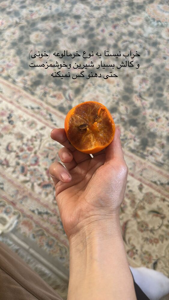  جدید ترین استوری اینستاگرام فاطمه محمدی قره چناق