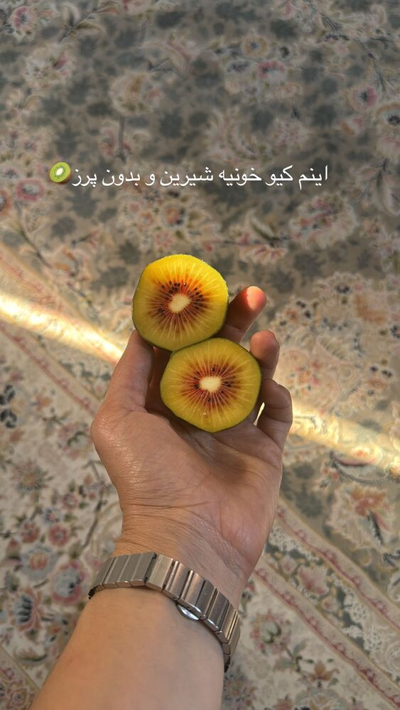  جدید ترین استوری اینستاگرام فاطمه محمدی قره چناق