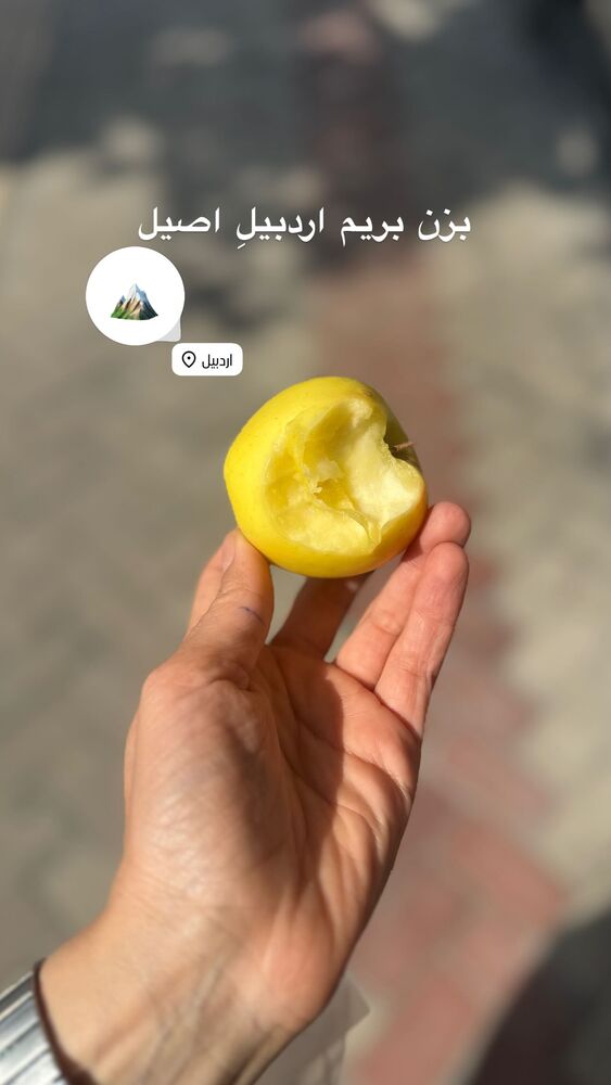  جدید ترین استوری اینستاگرام فاطمه محمدی قره چناق