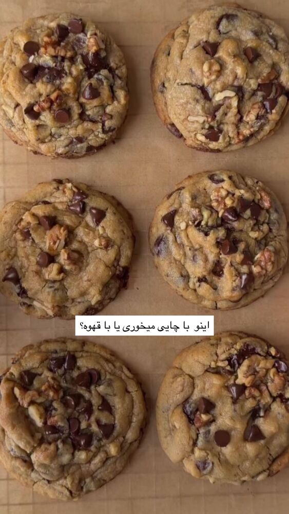  جدید ترین استوری اینستاگرام فاطمه محمدی قره چناق