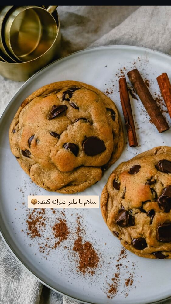  جدید ترین استوری اینستاگرام فاطمه محمدی قره چناق