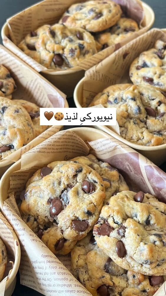  جدید ترین استوری اینستاگرام فاطمه محمدی قره چناق