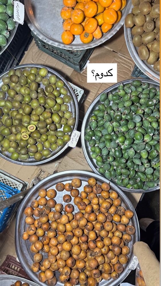  جدید ترین استوری اینستاگرام فاطمه محمدی قره چناق