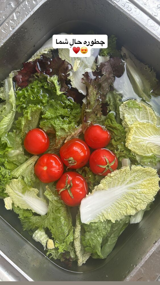  جدید ترین استوری اینستاگرام فاطمه محمدی قره چناق