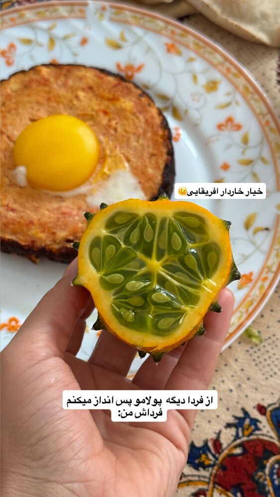  جدید ترین استوری اینستاگرام فاطمه محمدی قره چناق