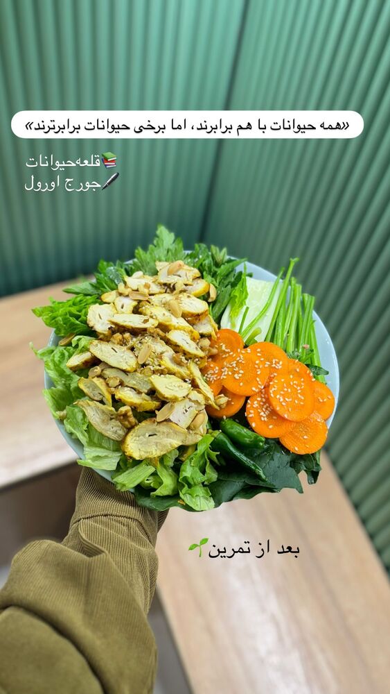  جدید ترین استوری اینستاگرام فاطمه محمدی قره چناق