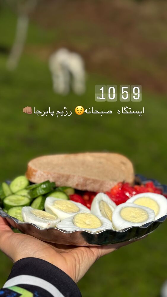  جدید ترین استوری اینستاگرام فاطمه محمدی قره چناق