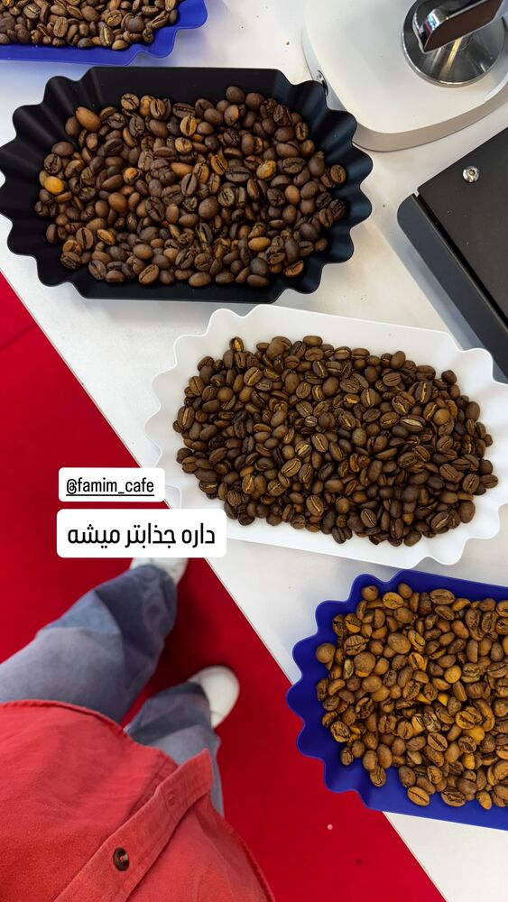  جدید ترین استوری اینستاگرام فاطمه محمدی قره چناق
