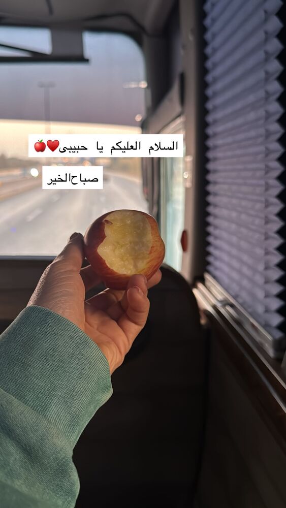  جدید ترین استوری اینستاگرام فاطمه محمدی قره چناق