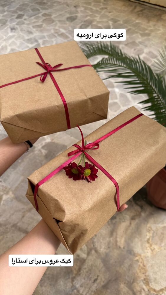  جدید ترین استوری اینستاگرام فاطمه محمدی قره چناق