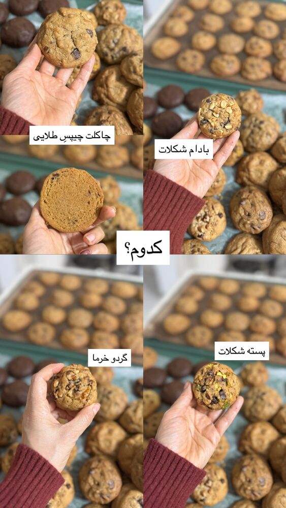  جدید ترین استوری اینستاگرام فاطمه محمدی قره چناق