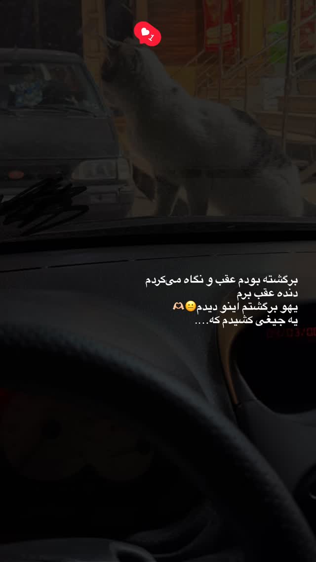 جدید ترین استوری اینستاگرام فاطمه ثابت