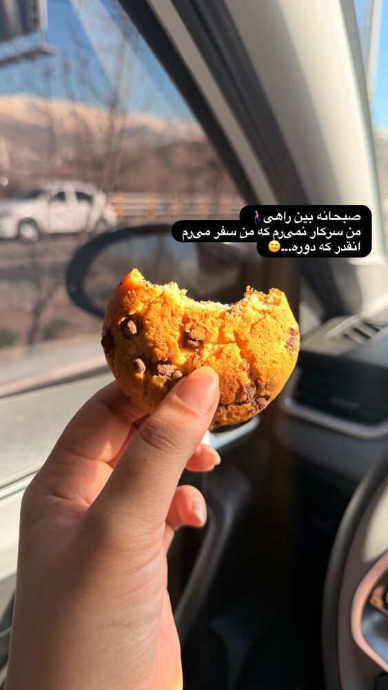 جدید ترین استوری اینستاگرام فاطمه ثابت