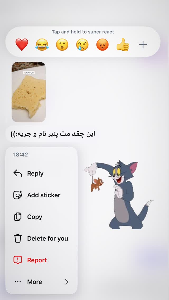  جدید ترین استوری اینستاگرام فاطمه ثابت