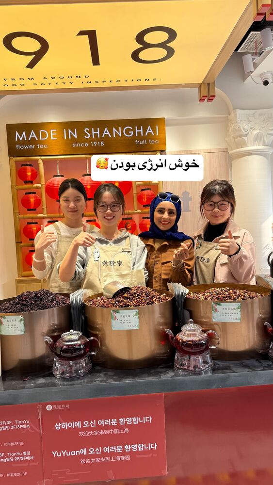  جدید ترین استوری اینستاگرام فاطمه شیرازی