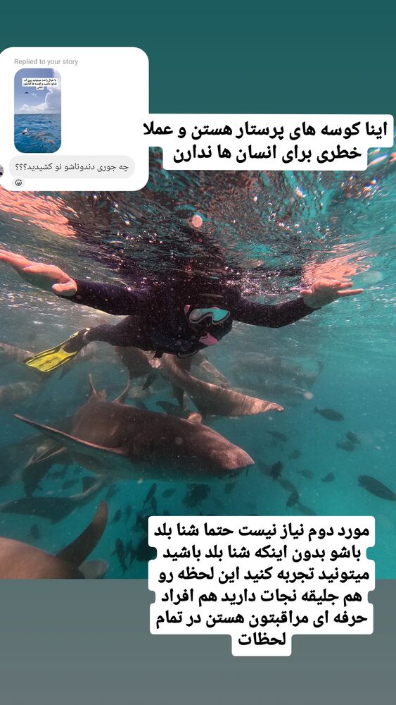  جدید ترین استوری اینستاگرام فاطمه شیرازی