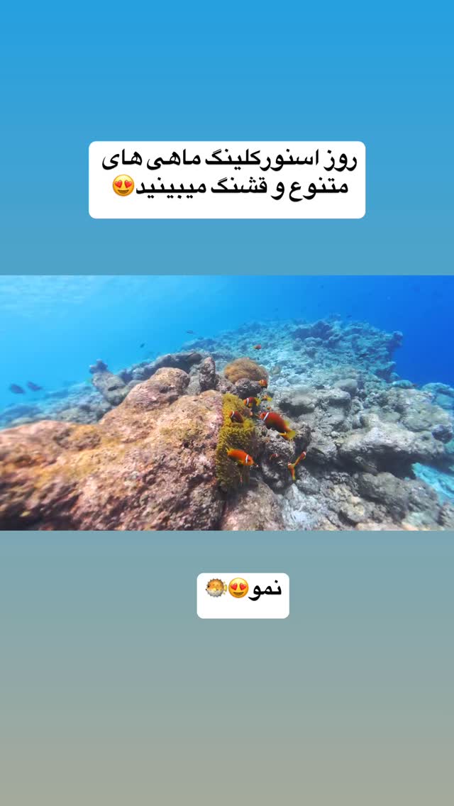  جدید ترین استوری اینستاگرام فاطمه شیرازی