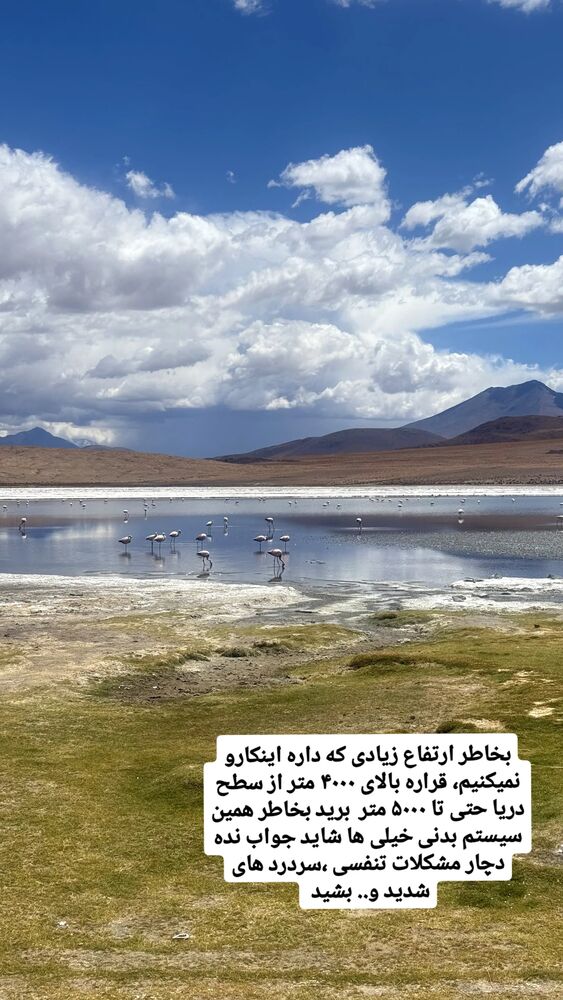  جدید ترین استوری اینستاگرام فاطمه شیرازی