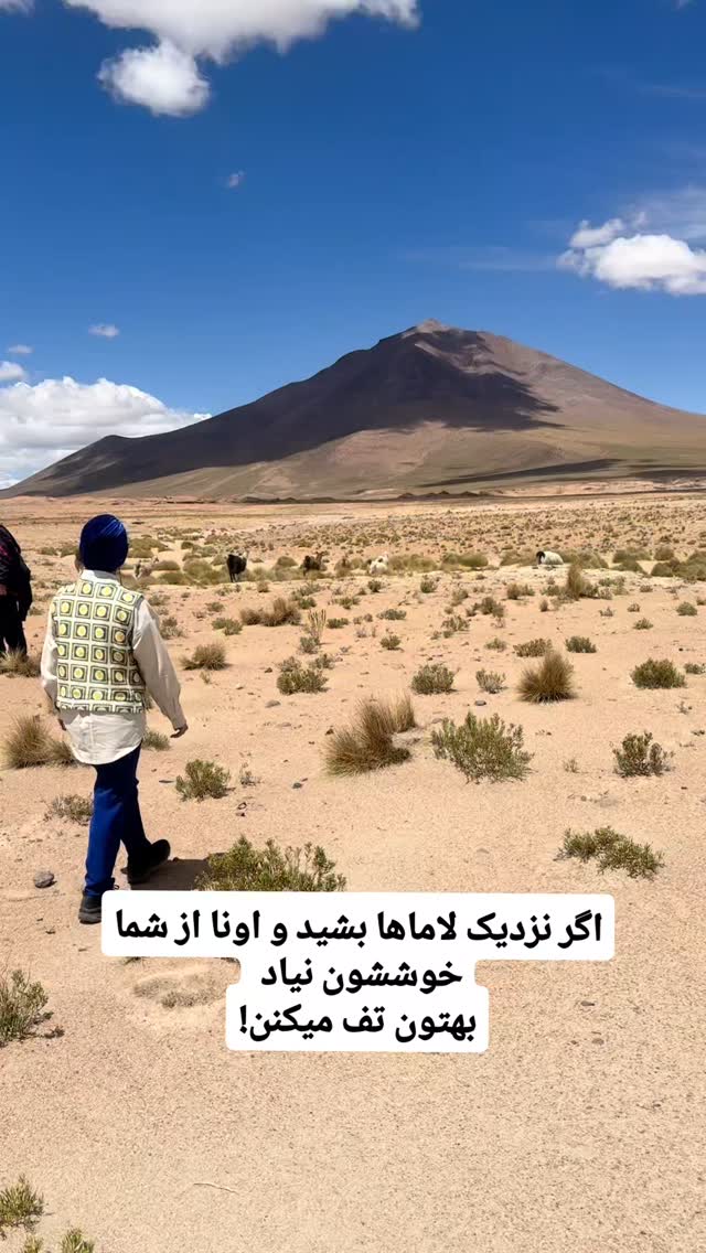 جدید ترین استوری اینستاگرام فاطمه شیرازی