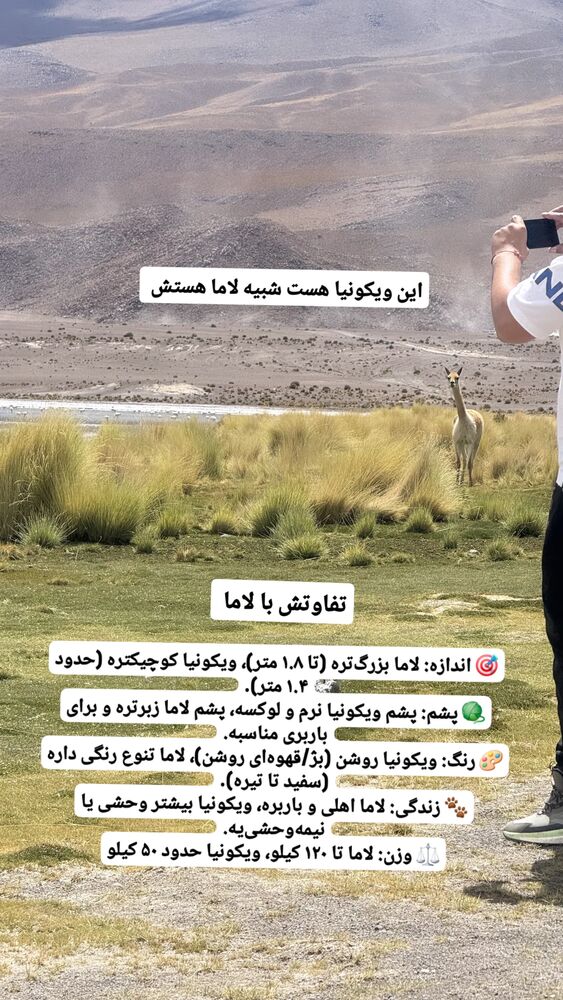  جدید ترین استوری اینستاگرام فاطمه شیرازی