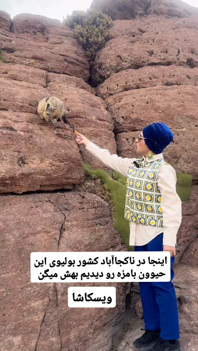  جدید ترین استوری اینستاگرام فاطمه شیرازی