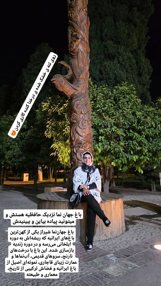 جدید ترین استوری اینستاگرام فاطمه شیرازی