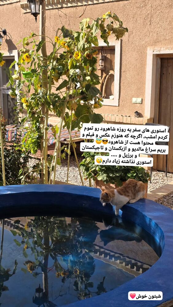  جدید ترین استوری اینستاگرام فاطمه شیرازی