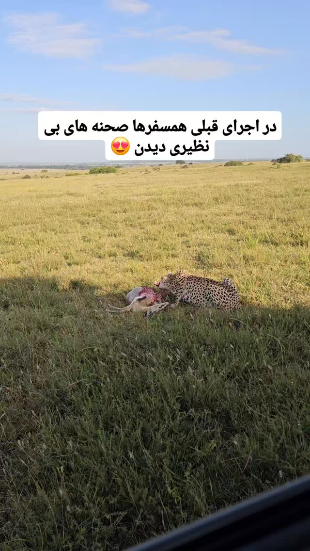  جدید ترین استوری اینستاگرام فاطمه شیرازی