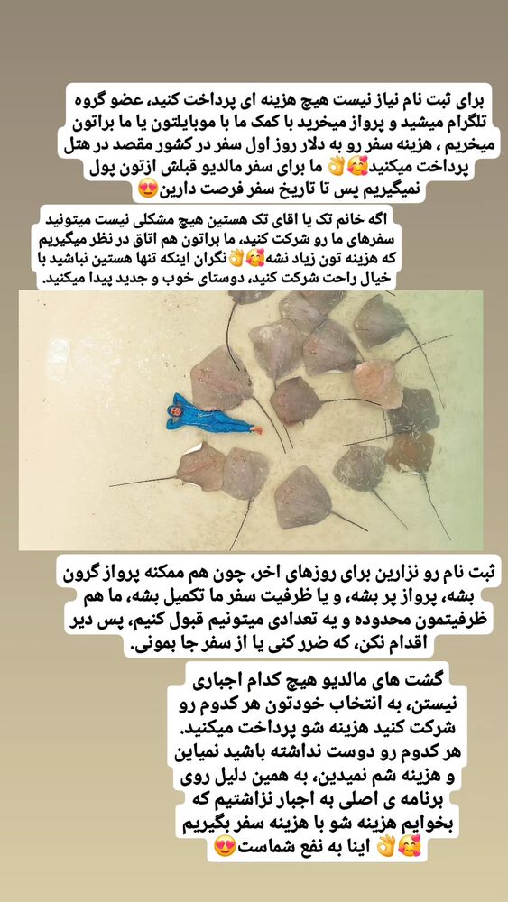  جدید ترین استوری اینستاگرام فاطمه شیرازی