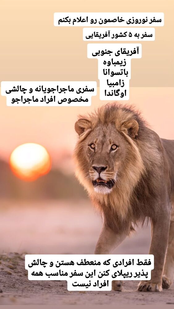  جدید ترین استوری اینستاگرام فاطمه شیرازی