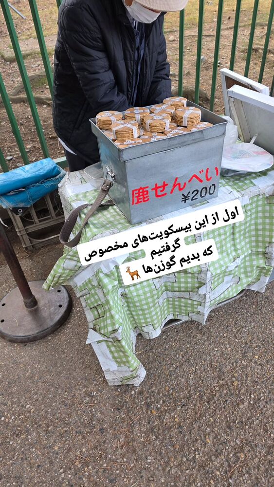  جدید ترین استوری اینستاگرام فاطمه شیرازی