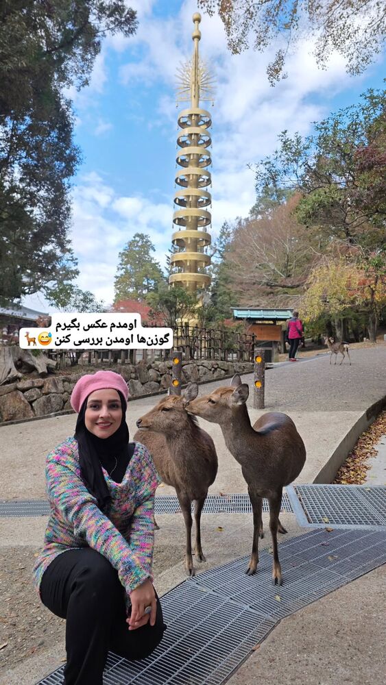  جدید ترین استوری اینستاگرام فاطمه شیرازی