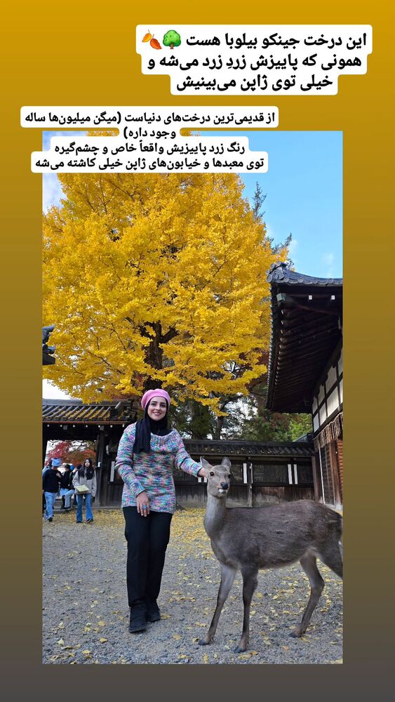  جدید ترین استوری اینستاگرام فاطمه شیرازی
