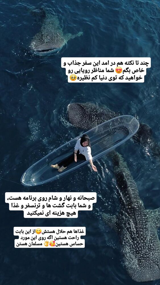  جدید ترین استوری اینستاگرام فاطمه شیرازی