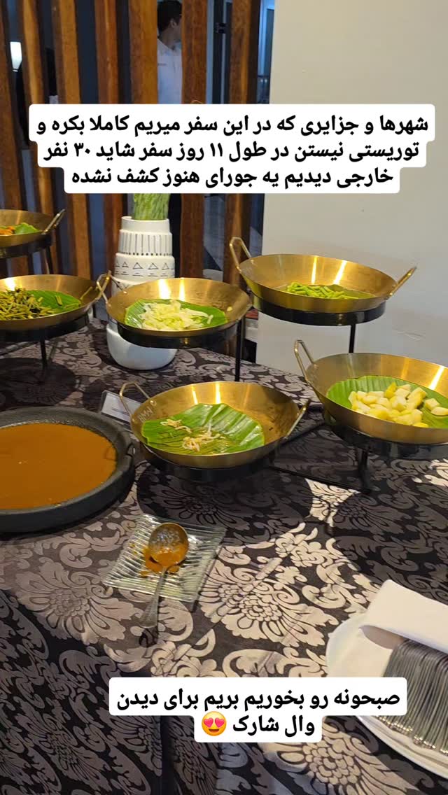  جدید ترین استوری اینستاگرام فاطمه شیرازی