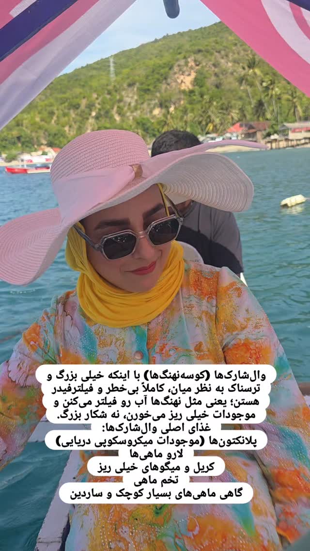  جدید ترین استوری اینستاگرام فاطمه شیرازی
