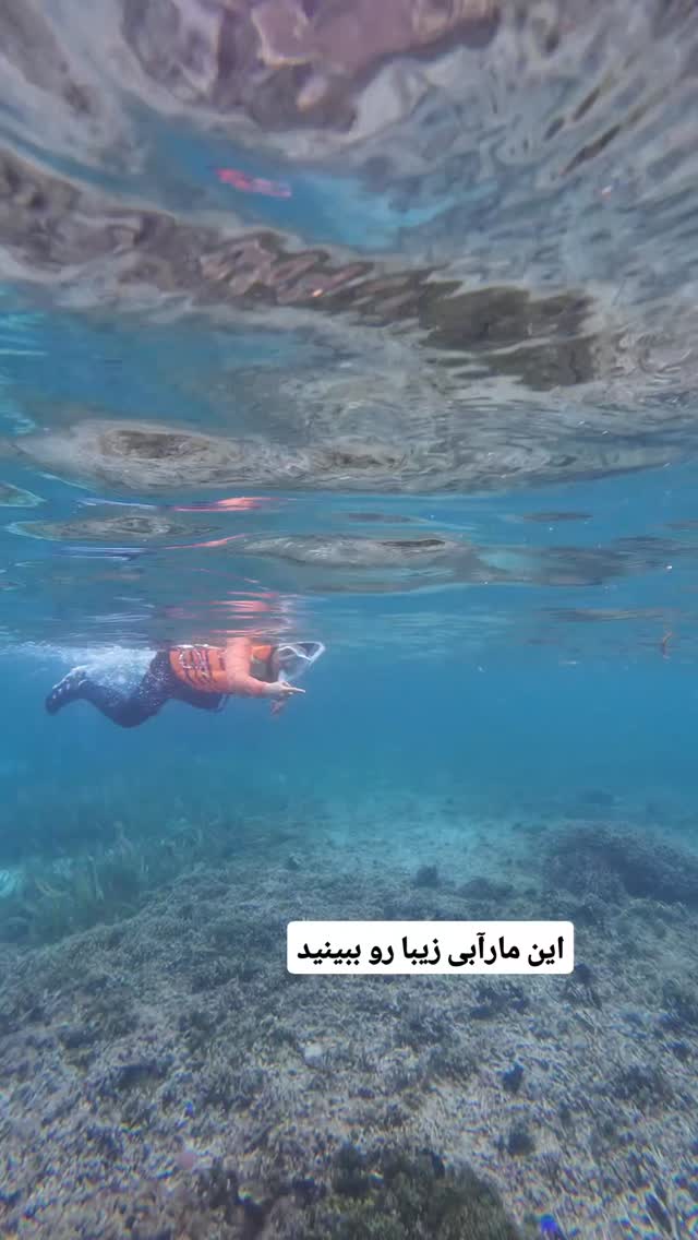 جدید ترین استوری اینستاگرام فاطمه شیرازی